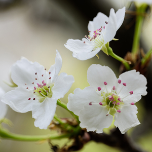 国产日产欧产精品网站
